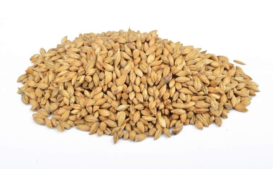 Münih  Maltı II -   1 Kg