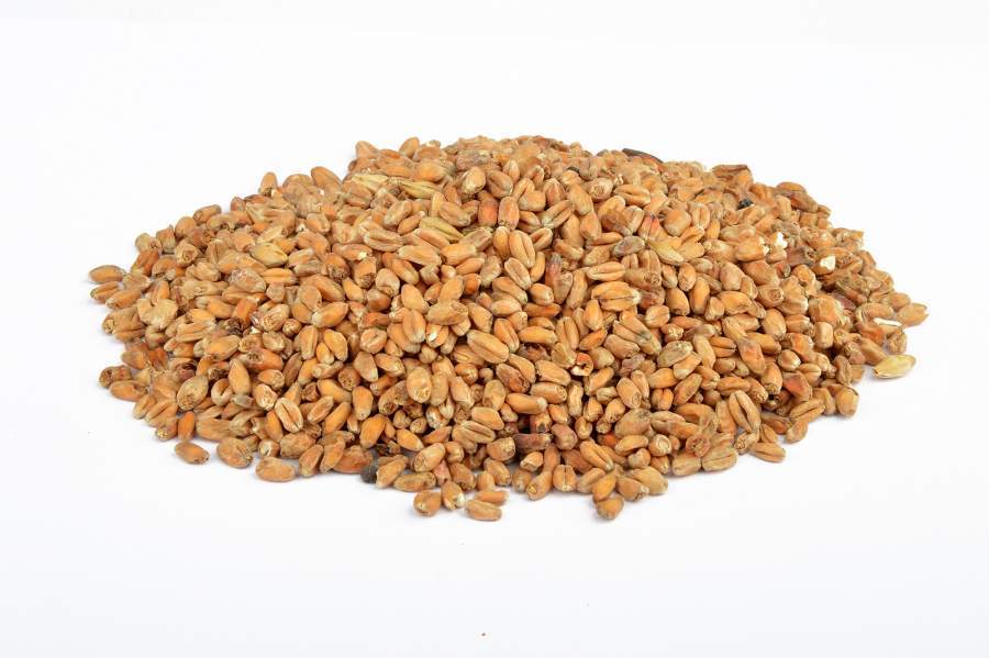 Koyu Renkli Buğday Maltı - 1 Kg
