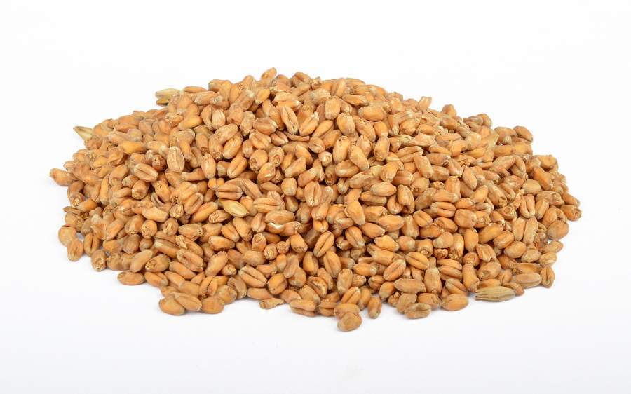 Meşe  İsli Buğday Maltı - 5 Kg