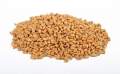Meşe  İsli Buğday Maltı - 5 Kg