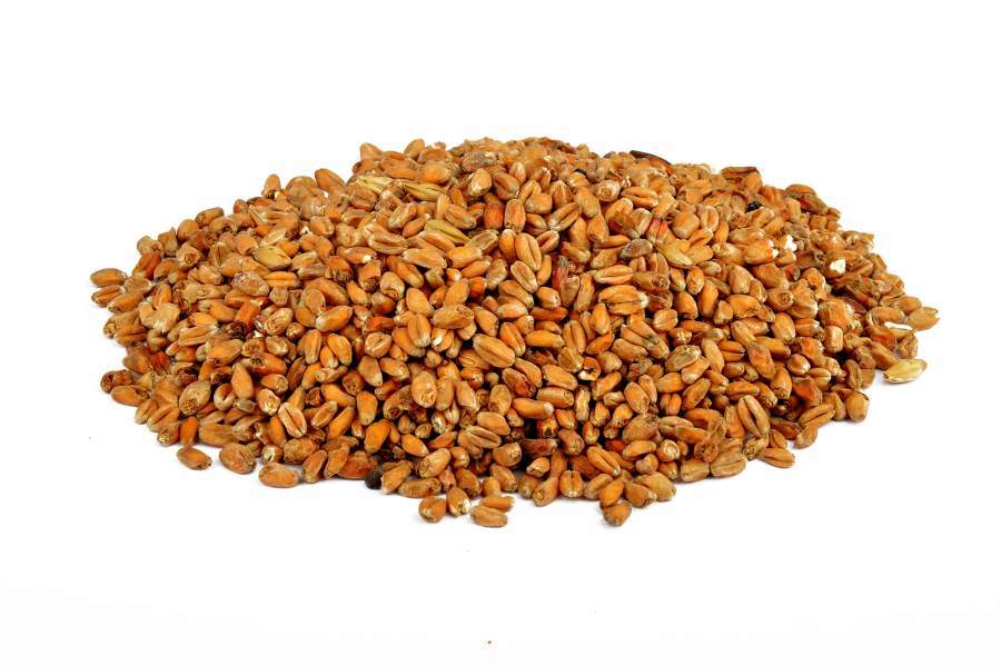 CaraRye®- 250 gram