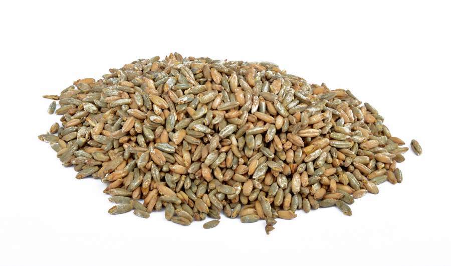 Açık Renkli Çavdar Maltı-   1 Kg