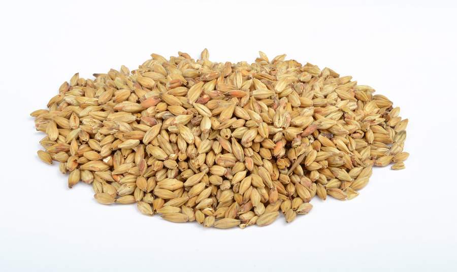 Abbey® Malt  -  5 Kg