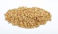 Abbey® Malt  -  5 Kg