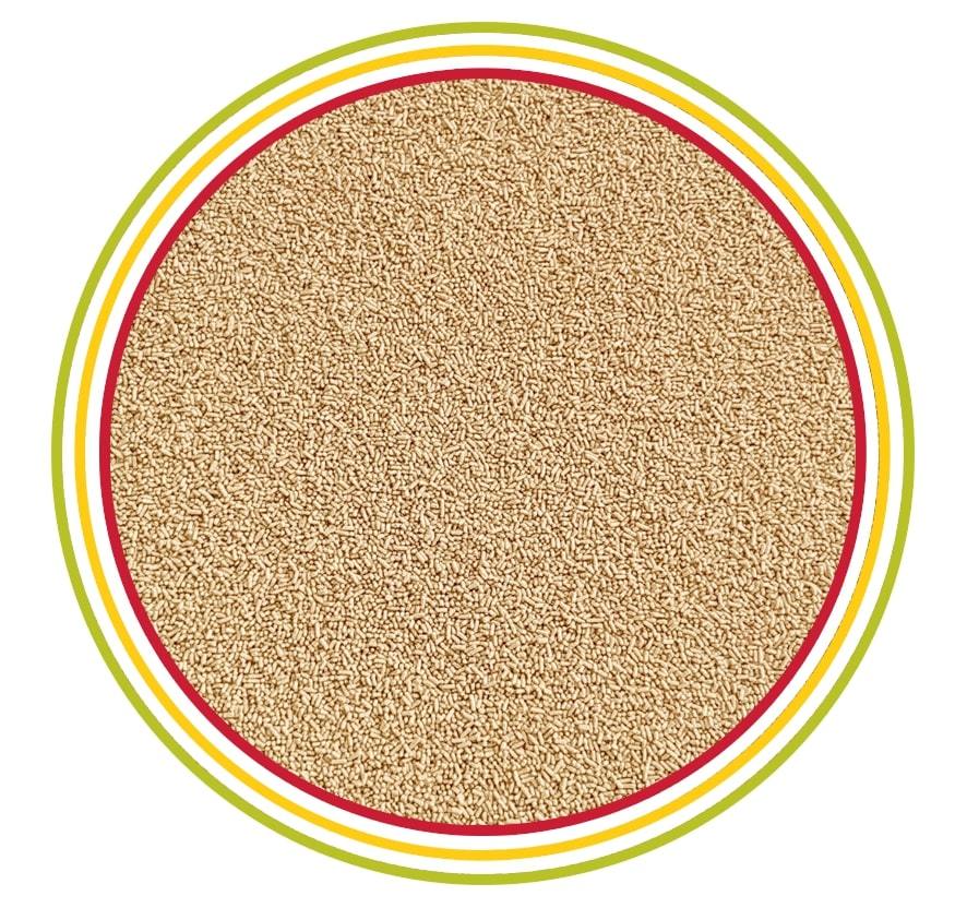 Belgian General Ale Bira Mayası 10 gr