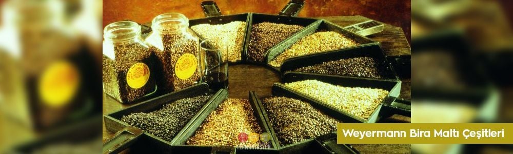 Wayermann Bira Maltı Çeşitleri